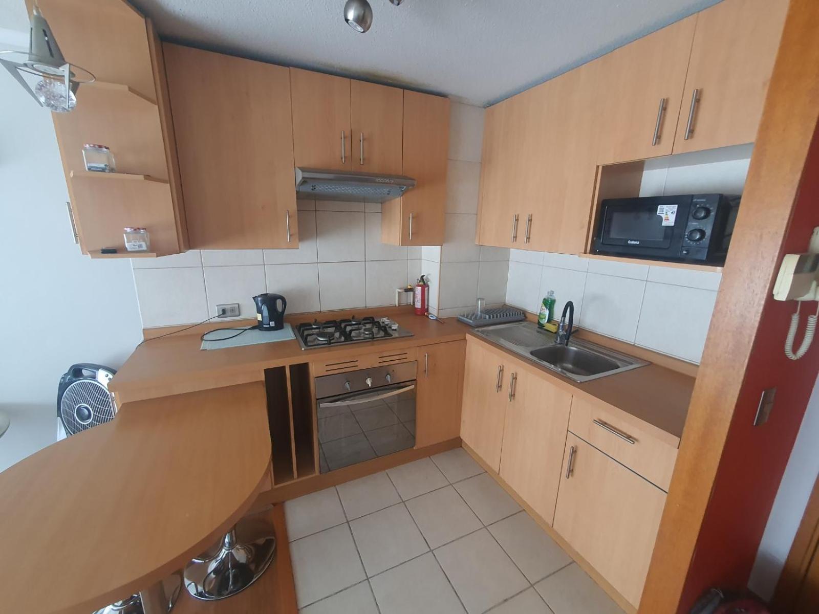 Apartamento Completo Barrio Lastarria Santiago